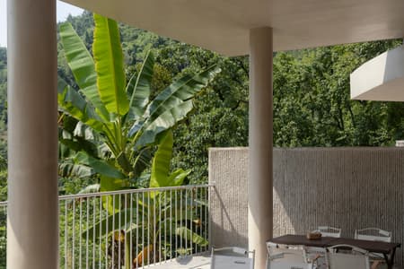 Buzzy Sunny· Feixue Pavilion